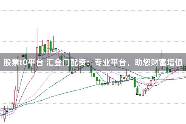股票t0平台 汇金门配资：专业平台，助您财富增值