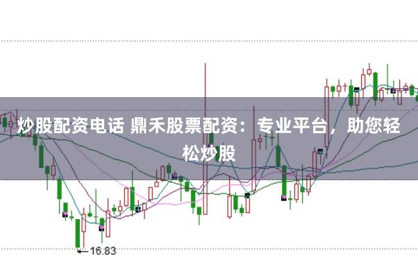 炒股配资电话 鼎禾股票配资:专业平台,助您轻松炒股