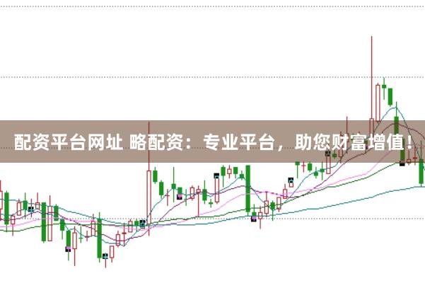 配资平台网址 略配资：专业平台，助您财富增值！