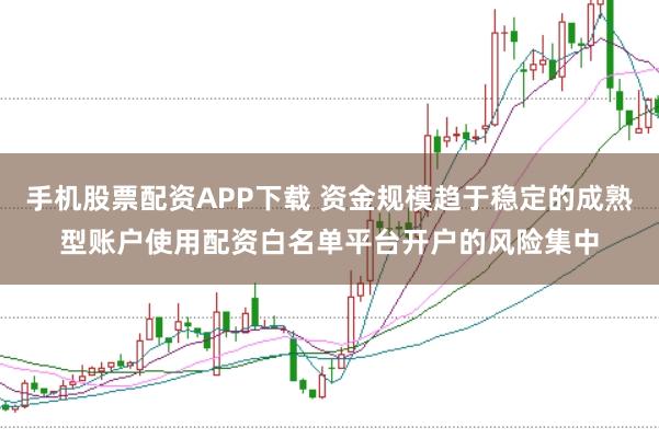 手机股票配资APP下载 资金规模趋于稳定的成熟型账户使用配资白名单平台开户的风险集中