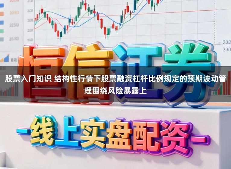 股票入门知识 结构性行情下股票融资杠杆比例规定的预期波动管理围绕风险暴露上