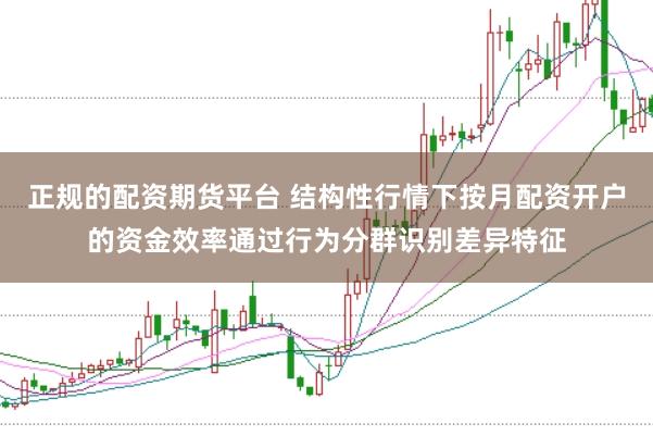 正规的配资期货平台 结构性行情下按月配资开户的资金效率通过行为分群识别差异特征