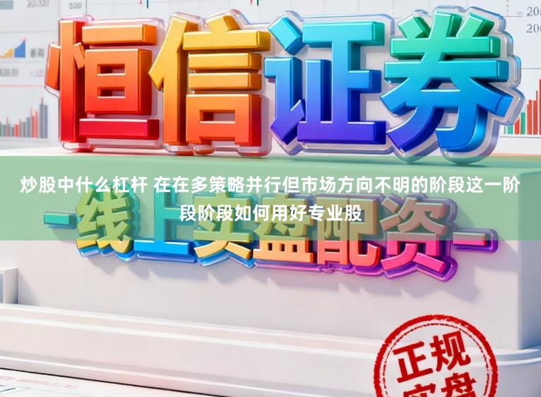 炒股中什么杠杆 在在多策略并行但市场方向不明的阶段这一阶段阶段如何用好专业股