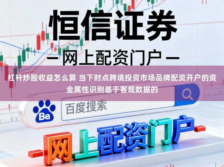 杠杆炒股收益怎么算 当下时点跨境投资市场品牌配资开户的资金属性识别基于客观数据的