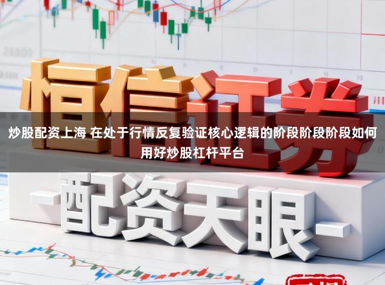 炒股配资上海 在处于行情反复验证核心逻辑的阶段阶段阶段如何用好炒股杠杆平台