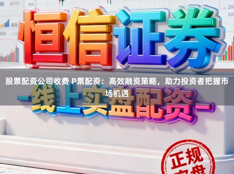 股票配资公司收费 P票配资：高效融资策略，助力投资者把握市场机遇