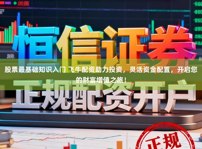 股票最基础知识入门 飞牛配资助力投资，灵活资金配置，开启您的财富增值之旅！